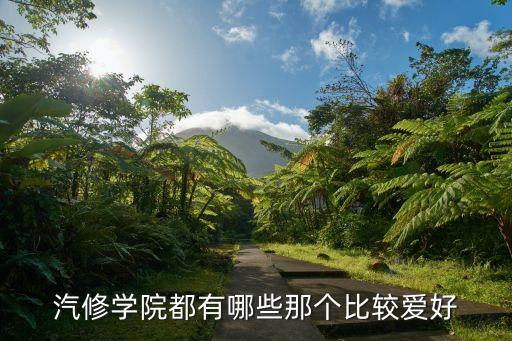 汽修学院都有哪些那个比较爱好