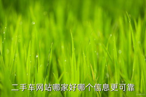 二手车网站哪家好哪个信息更可靠