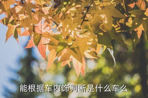 能根据车内饰判断是什么车么