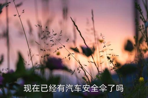 车内遮阳伞安全吗，电动车上装的那个遮阳伞到底安全么