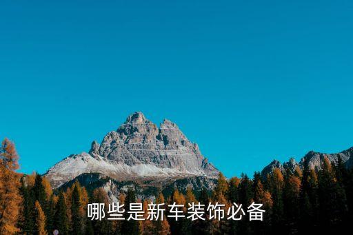 哪些是新车装饰必备
