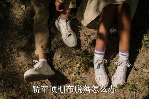 宝马棚顶脱落怎么办，汽车棚顶布掉了怎么办