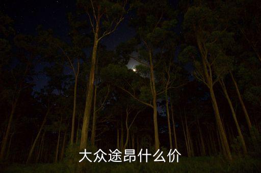 大众途昂什么价