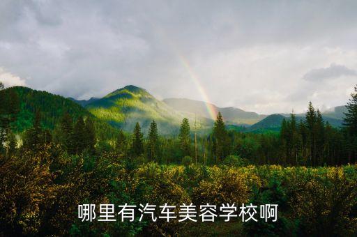 哪里有汽车美容技术学校啊知乎，我想学汽车美容哪里有好的学校 各位帮我出出主意 多谢