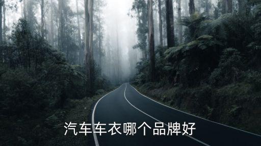 汽车车衣哪个品牌好