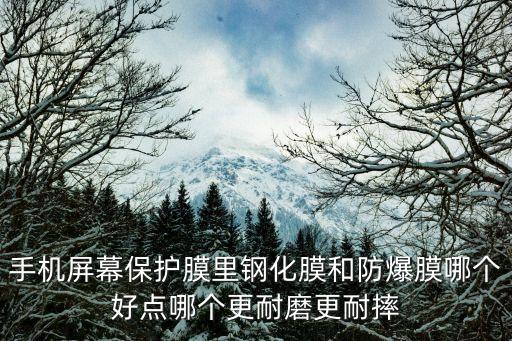 手机屏幕保护膜里钢化膜和防爆膜哪个好点哪个更耐磨更耐摔