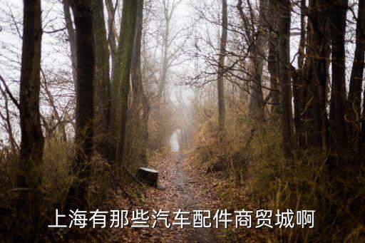 上海有那些汽车配件商贸城啊