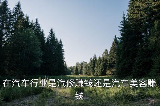 在汽车行业是汽修赚钱还是汽车美容赚钱