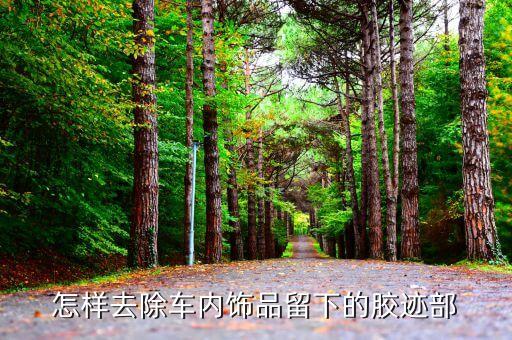 怎样去除车内饰品留下的胶迹部
