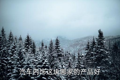 汽车内饰这块哪家的产品好
