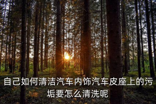 自己如何清洁汽车内饰汽车皮座上的污垢要怎么清洗呢