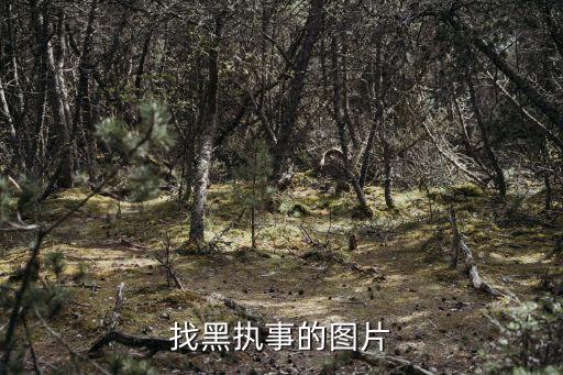 找黑执事的图片