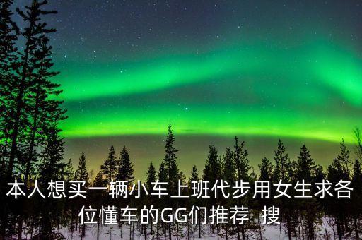本人想买一辆小车上班代步用女生求各位懂车的GG们推荐  搜