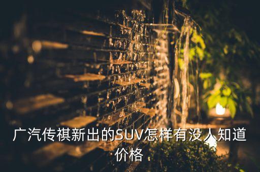 广汽传祺aions价格，广汽传祺多少钱