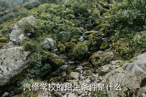 汽修学校的招生条件是什么