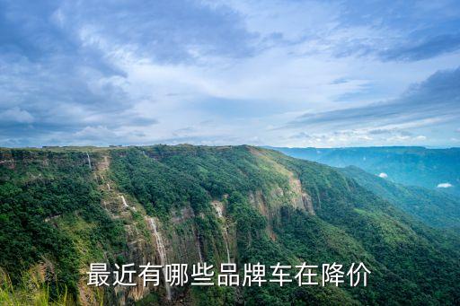 最近有哪些品牌车在降价