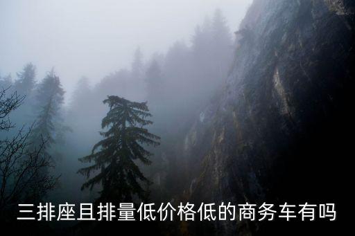 三排座且排量低价格低的商务车有吗