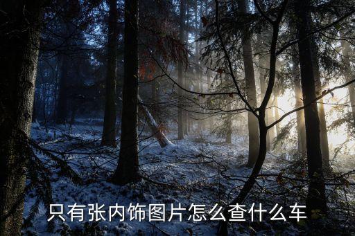 只有张内饰图片怎么查什么车