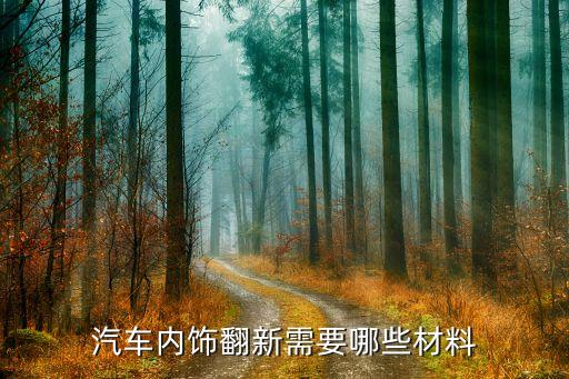 汽车内饰翻新需要哪些材料
