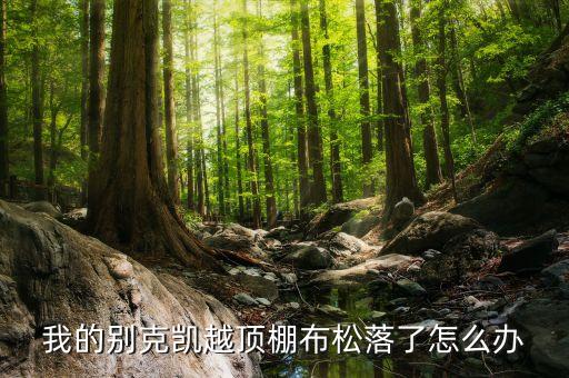 汽车顶棚布更换需要多少时间，求助车友车内顶蓬布料脱落