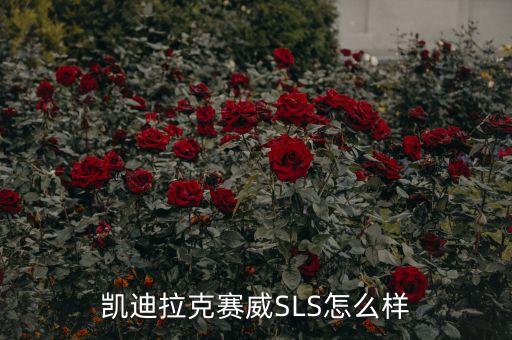 凯迪拉克赛威SLS怎么样