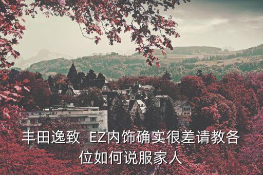丰田逸致  EZ内饰确实很差请教各位如何说服家人