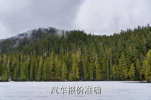 汽车报价准确