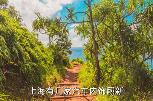 哪里有汽车翻新的店，西安哪有汽车内饰改色翻新改装的技术店