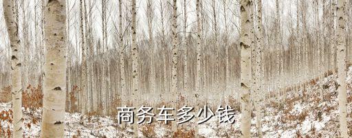 商务车的价格，商务车多少钱