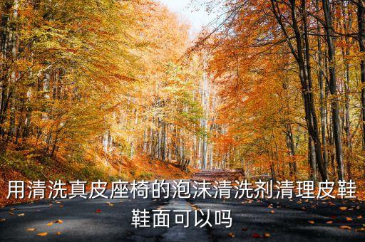 用清洗真皮座椅的泡沫清洗剂清理皮鞋鞋面可以吗