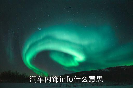 汽车内饰info什么意思