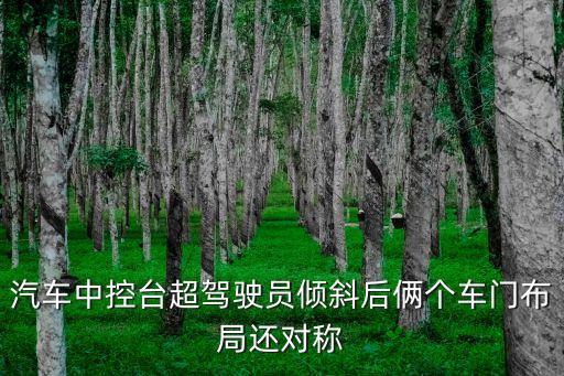 那些车型中控是偏向一边的，现代的那款车的中控和仪表盘是偏向主驾驶的