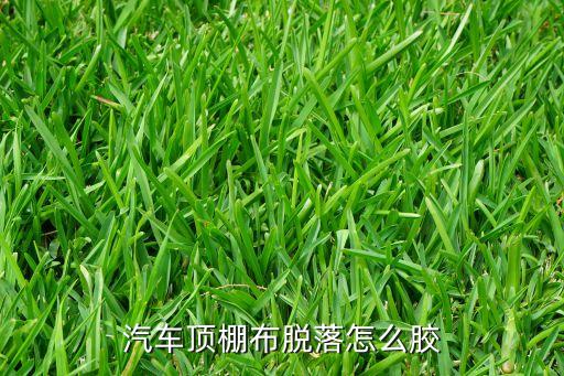 汽车顶棚布脱落怎么胶