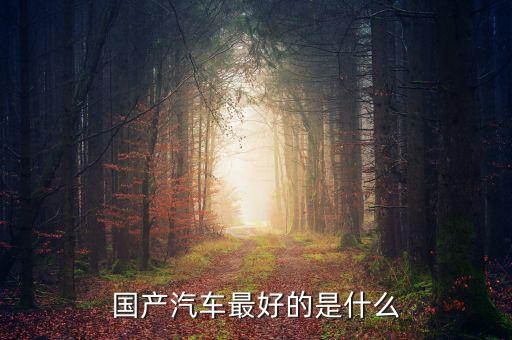 国产汽车最好的是什么