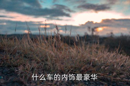 内饰豪华轿车排名前十名，什么车的内饰最豪华