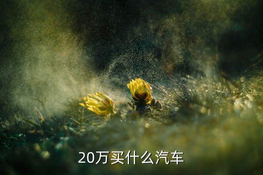 20万买什么汽车
