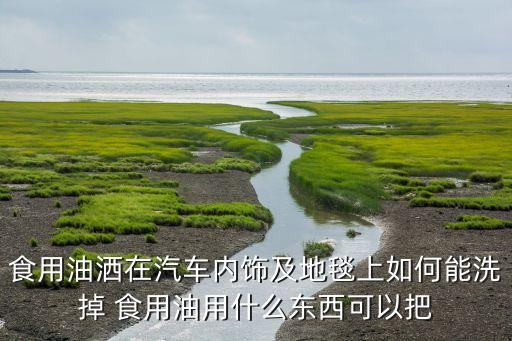 食用油洒在汽车内饰及地毯上如何能洗掉 食用油用什么东西可以把
