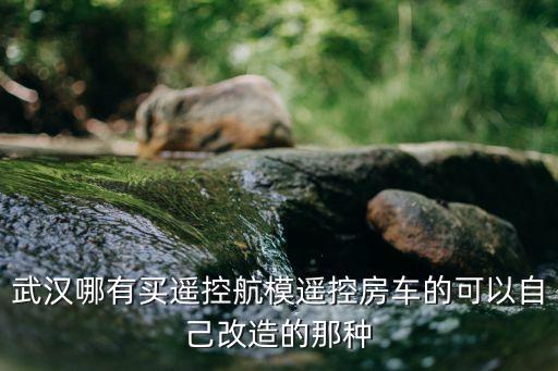 武汉哪有买遥控航模遥控房车的可以自己改造的那种