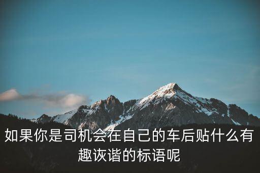 如果你是司机会在自己的车后贴什么有趣诙谐的标语呢