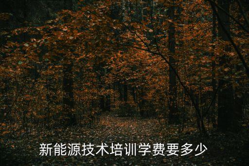 新能源修理培训多少钱，新能源充电桩运维工程师培训3个月学费多少钱