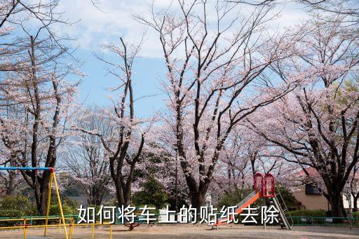 如何将车上的贴纸去除