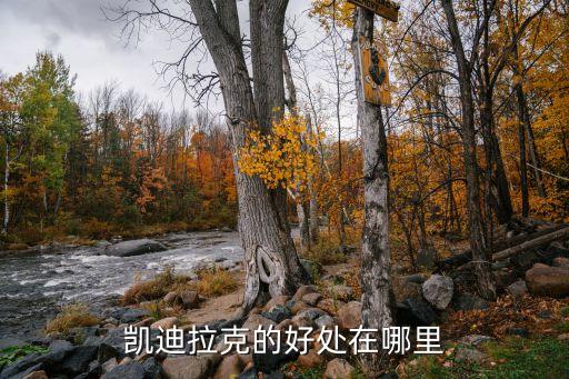 凯迪拉克的好处在哪里