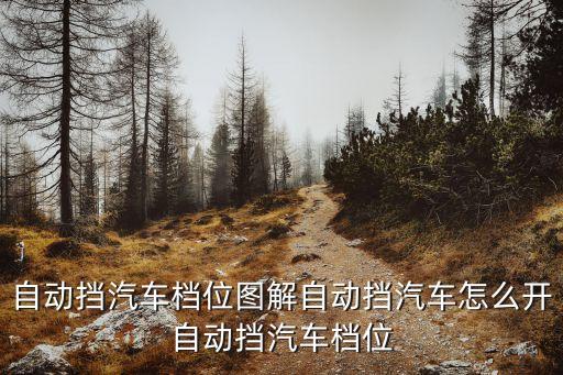 自动挡汽车档位图解自动挡汽车怎么开自动挡汽车档位