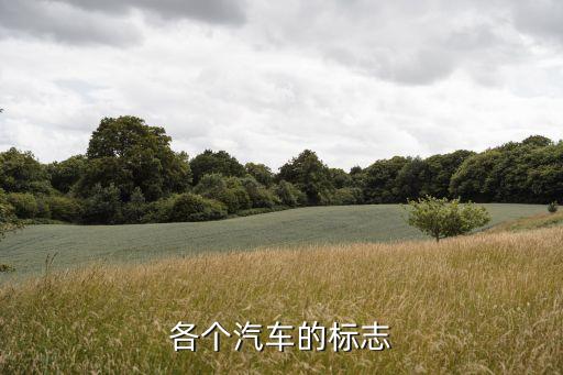 小轿车标志大全，汽车的标志所有的