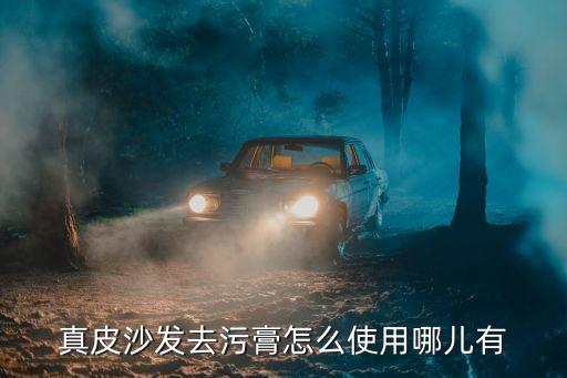 真皮沙发去污膏怎么使用哪儿有