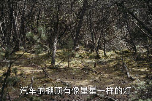 汽车的棚顶有像星星一样的灯