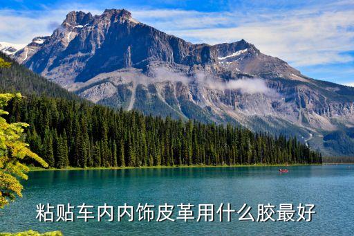 用自粘皮革贴汽车内饰，怎么把皮革粘到塑料上我想改一下我车的内饰尤其是仪