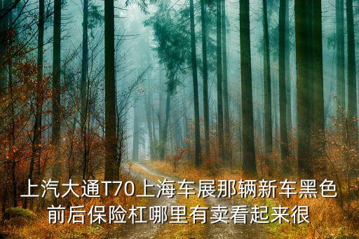 上汽大通T70上海车展那辆新车黑色前后保险杠哪里有卖看起来很