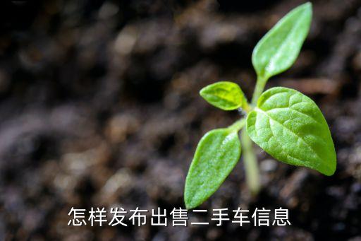 怎样发布出售二手车信息