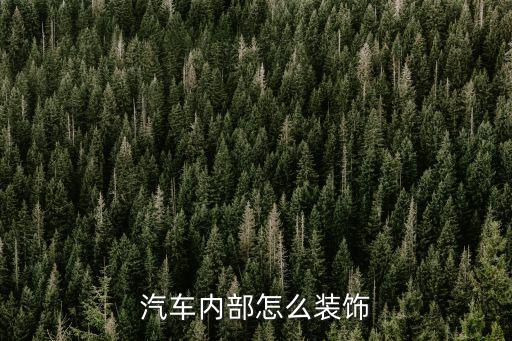 汽车内部怎么装饰